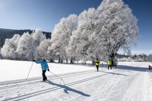 assets/news/Aktuell%202025/Winter%20Flachau/2015-langlauf-gruppe-ort-huber-hans-photos-10-gross.jpg
©Altenmarkt-Zauchensee Tourismus assets/news/Aktuell%202025/Winter%20Flachau/2015-langlauf-gruppe-ort-huber-hans-photos-10-gross.jpg
©Altenmarkt-Zauchensee Tourismus