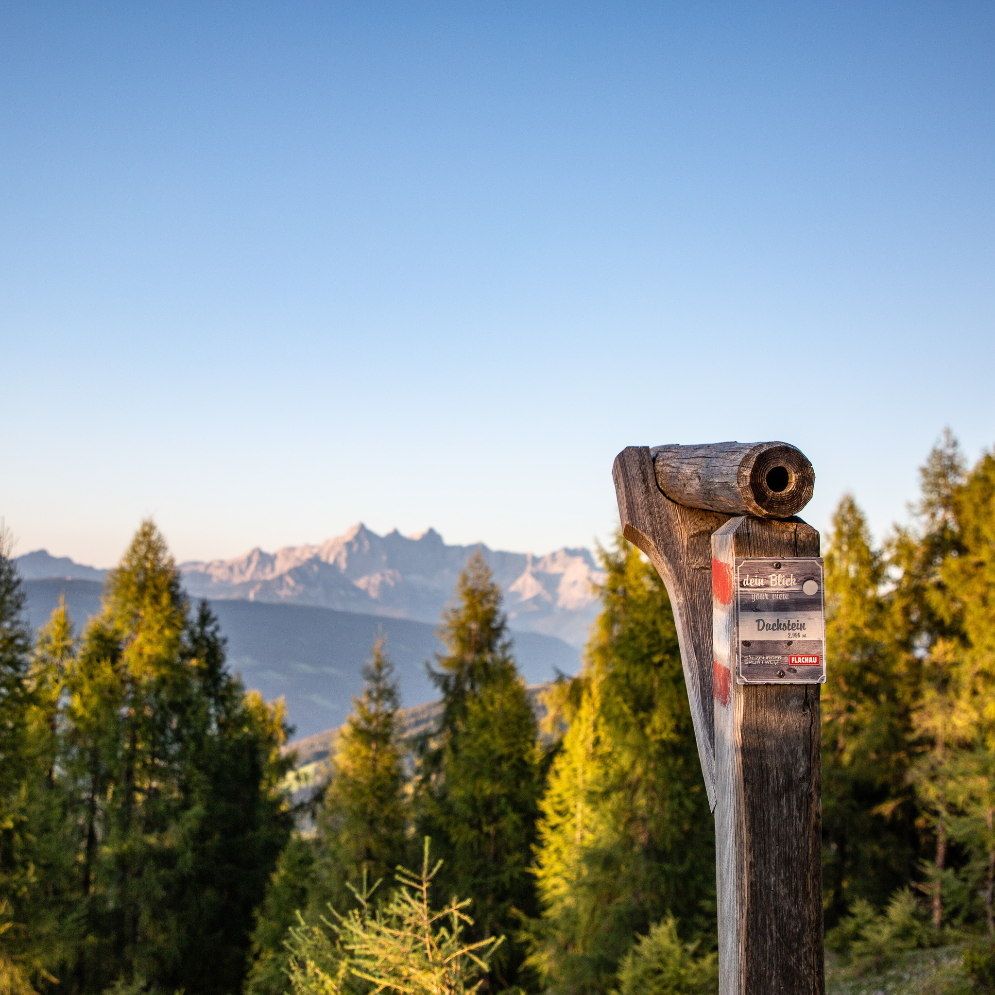 21_flachau_sommer_wandern_lackenkogel_ausblick_fernrohr.jpg