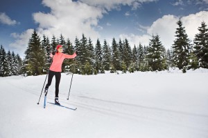 Nordisches Langlaufen oder Skaten auf den bestens gespurten Loipen in und rund um Flachau Nordisches Langlaufen oder Skaten auf den bestens gespurten Loipen in und rund um Flachau