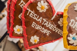 Teslatakeover Flachau